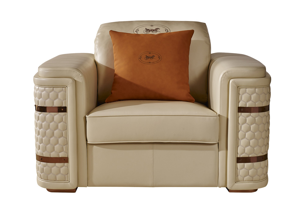 T-1105 Single Sofa-Old
